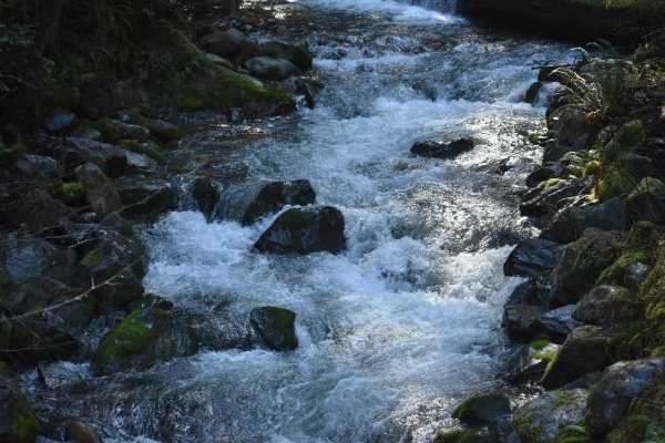 Hiouchi Motel image 12