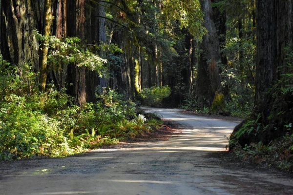 Hiouchi Motel image 14