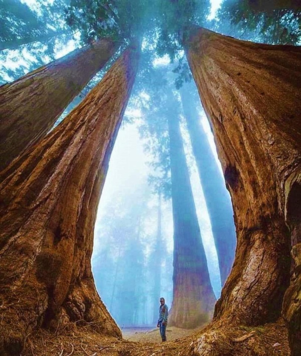 Hiouchi Motel image 17