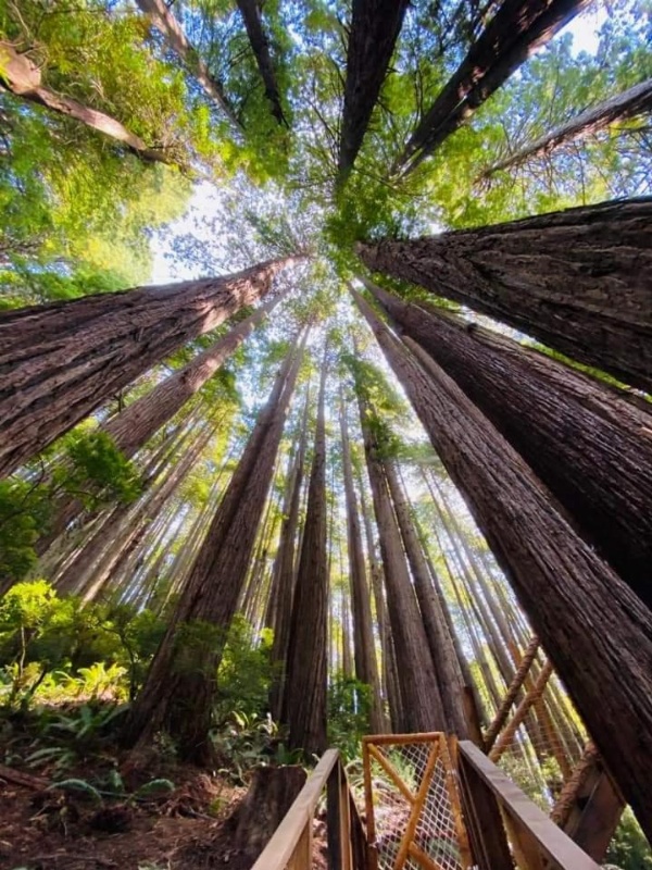 Hiouchi Motel image 29